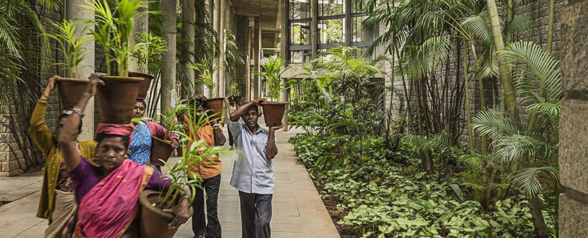 Indian Institute of Management Bangalore