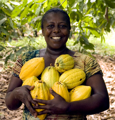 El fruto de cacao