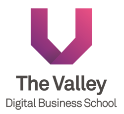 logo The Valley