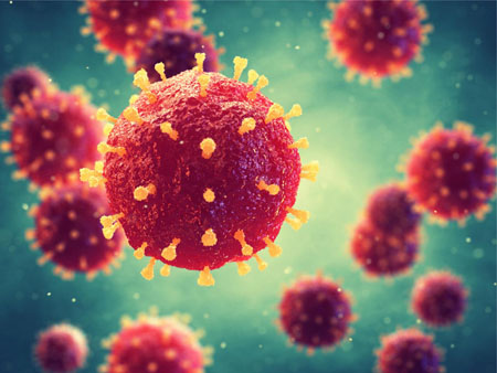 Coronavirus (2019-nCoV)