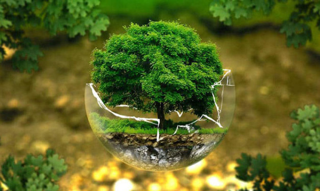 La lucha contra el CAMBIO CLIMÁTICO