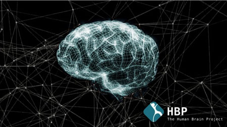 El Proyecto Cerebro Humano