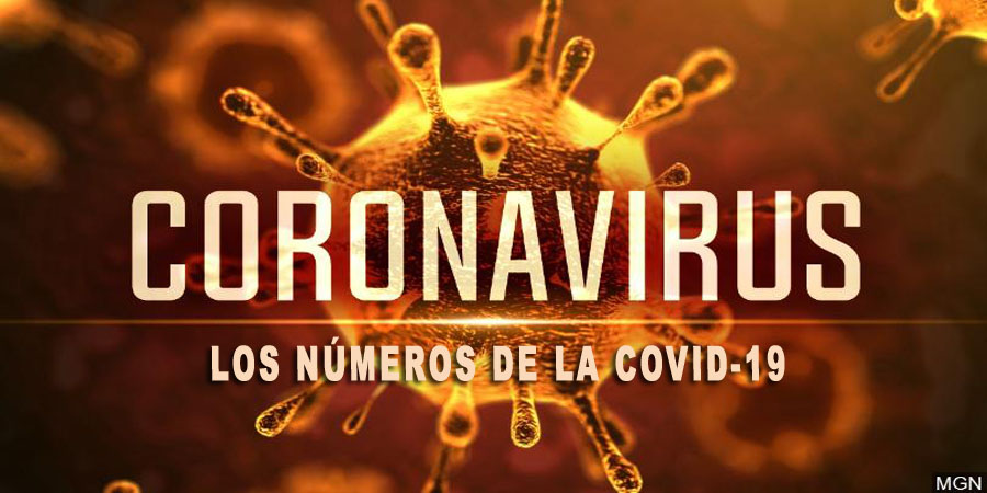 LOS NÚMEROS DEL COVID-19