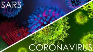 SARS-Coronavirus