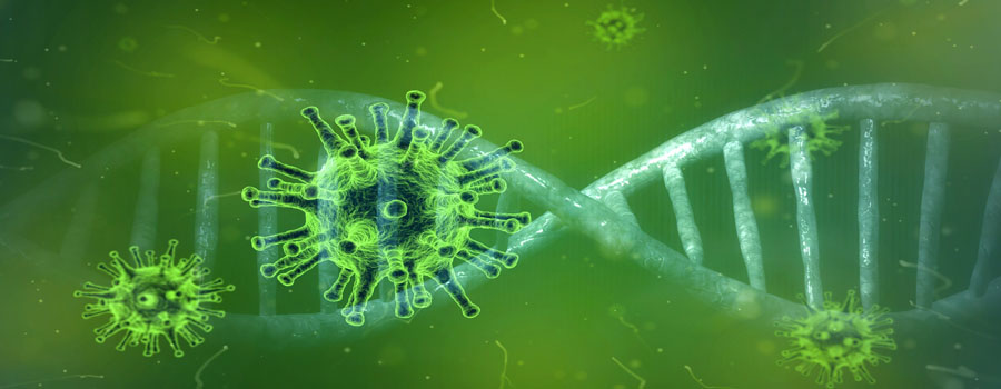 ADN y el virus covit19. Imagen de Pete Linforth-Pixabay