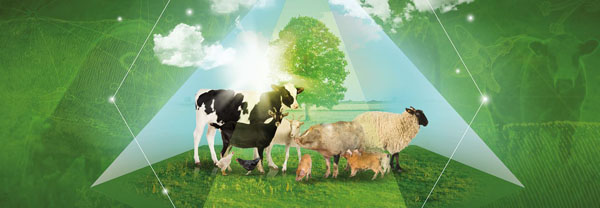 Animal farming o granjas de animales.