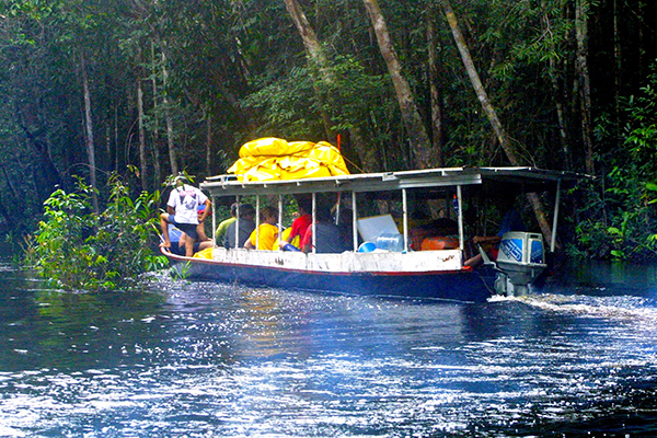 Bongo, embarcación típica del lugar.
