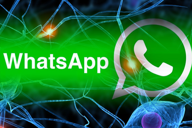 Lo que tienen en común la neurotransmisión y el WhatsApp