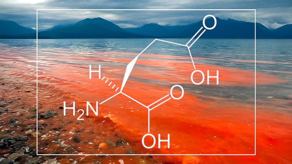 ¿Qué tienen que ver las mareas rojas con el glutamato?