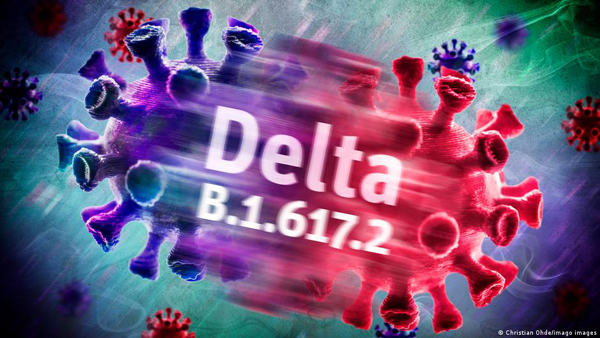 Delta Plus”, AY.1 o B.1.617.2.1, tiene una mutación extra en la proteína de la espícula del virus SARS-CoV-2.