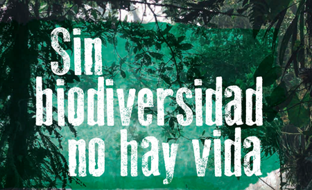 Sin biodiversidad no hay vida.