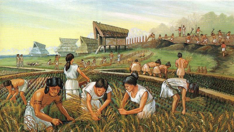 El Neolítico se convirtió en la era de la globalización por la agricultura