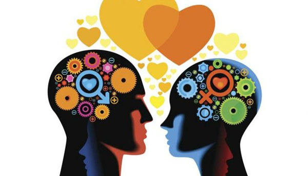 ¿En que lugar del cerebro se origina el amor?