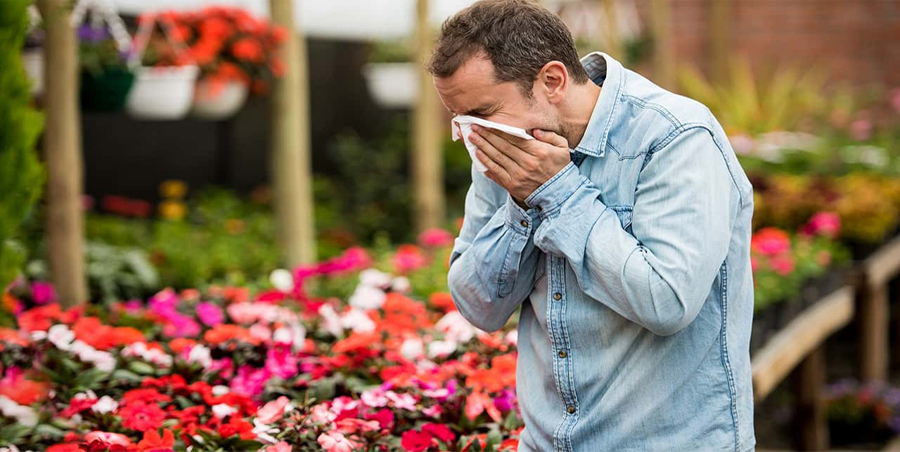 Estornudando en el jardín es un posible síntoma de alergia.