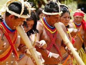Etnias indígenas en el Amazonas venezolano. Indios Yek´wana.