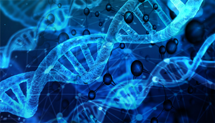 Este poderoso sistema de inteligencia artificial es capaz de predeterminar, con mayor o menor exactitud, la forma tridimensional de 200 millones de proteínas.