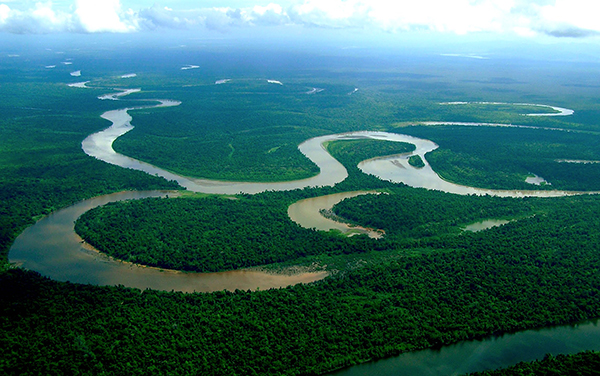 Fastuoso río Orinoco, el más largo y caudaloso del norte del Continente Suramericano, con una longitud de 2.140 km. Es el tercero con mayor volumen de agua en el mundo.