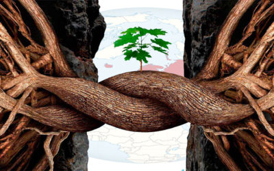 EUROPA MAS ALLA DE LA RESILIENCIA