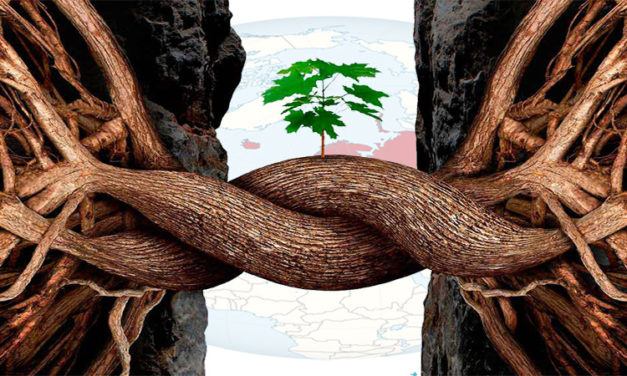 EUROPA MAS ALLA DE LA RESILIENCIA