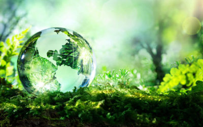 ¿UNA BURBUJA DE TECNOLOGÍA VERDE?