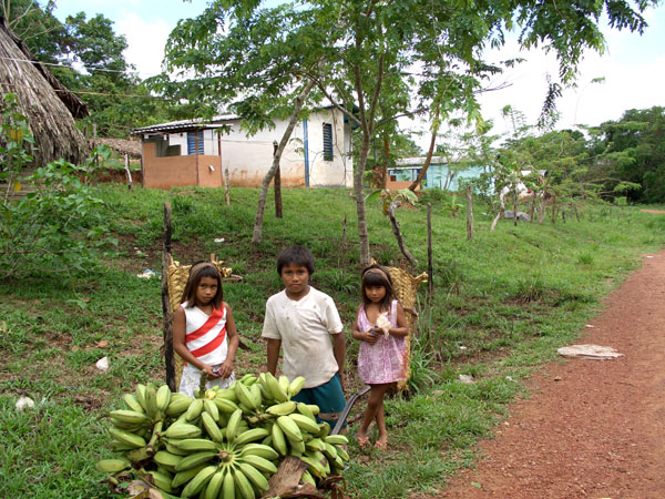 Grupo de Niños Piaroa en su comunidad, Babilla de Pintao, en Amazonas.