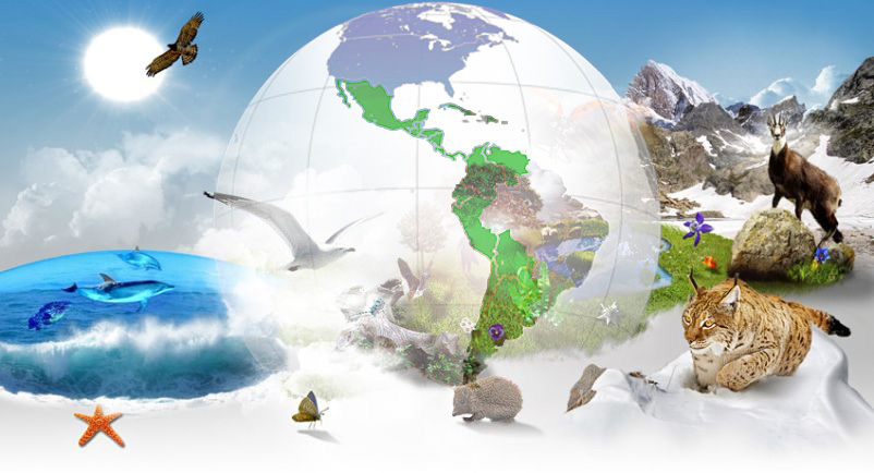 Se estima que América Latina contiene el 40% de la biodiversidad, el 30% de las reservas de agua dulce y el 25% de la masa forestal de la Tierra.