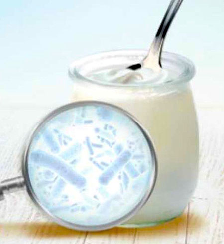 El yogur ejerce como probiótico: ayuda a recomponer la flora intestinal.