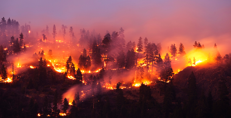 Incendios forestales.