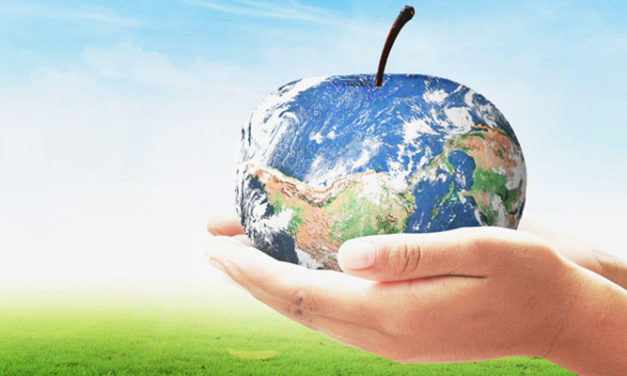 Mejorar la nutrición puede salvar vidas