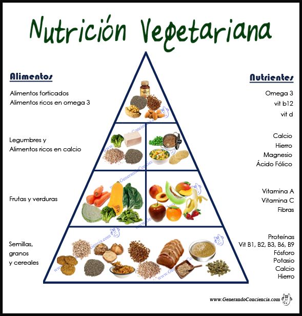 Nutricion vegetariana