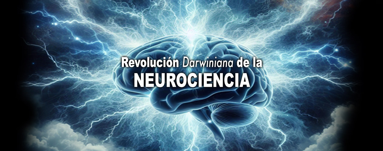 EMPIEZAN A ENCAJAR PIEZAS QUE ESTABAN SUELTAS