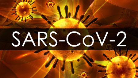 SARS-cov-2