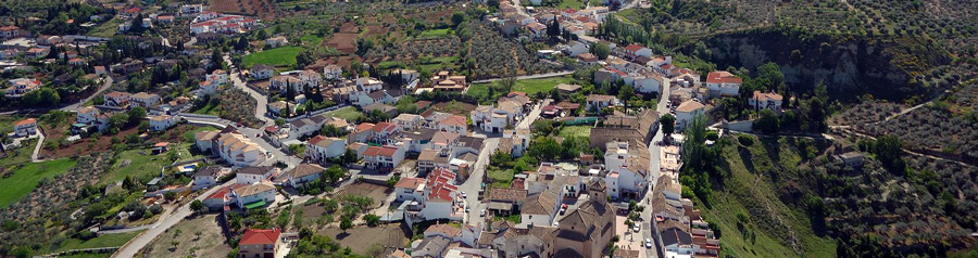 Dia mundial del urbanismo