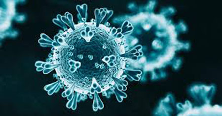 Coronavirus COVID-19 (2019-nCoV)