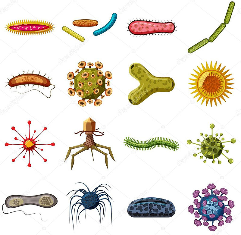 Este es un grupo de bacterias y viruses caricaturizados.