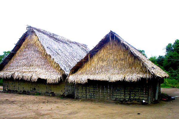 Vivienda construida con madera, paredes de barro pisado o bahareque y techos de palma