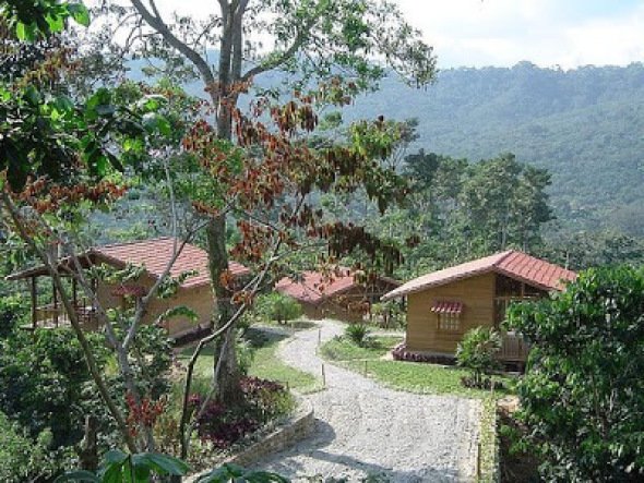 Las viviendas cuentan con un sistema de captaciónde agua pluvial y plantas tratadoras de agua a base de ozono.